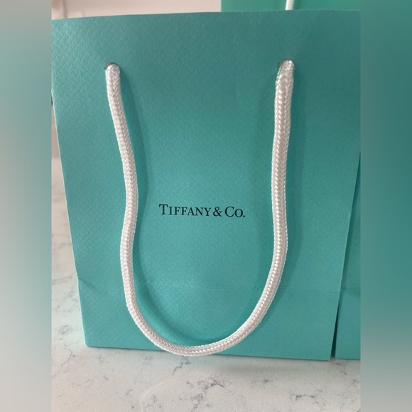 6 Authentic Tiffany & Co. Bags - Picture 2 of 4